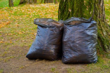 İki büyük çöp torbası.