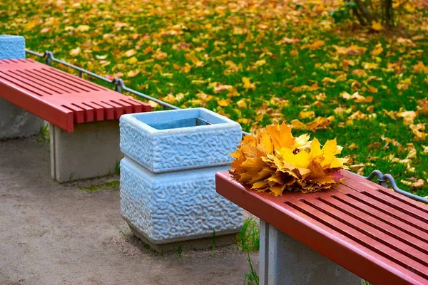 Detailní záběr podzimní lavice — Stock fotografie
