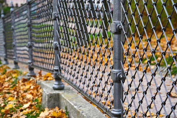Частина металевого паркану в парку — стокове фото