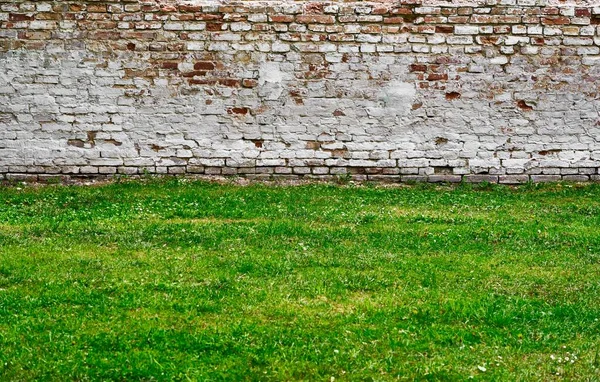 Prato verde e vecchio muro di mattoni per lo sfondo — Foto Stock