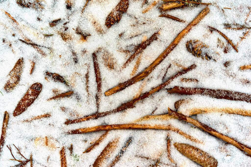 abstract textured natural winter background of snow and old tree branches
