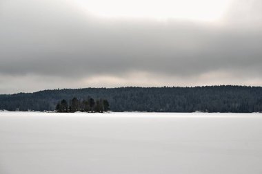 Beyaz karlı kış manzarası bir tarlada veya büyük bir göl üzerinde ve ufukta orman var.