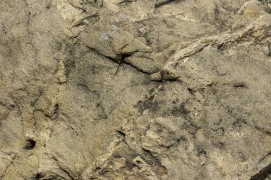 Büyük bir kayanın yüzeyini.