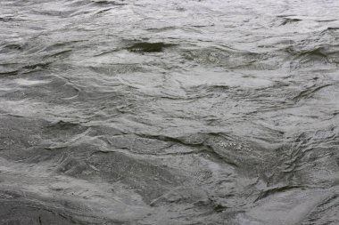 Yüzey su dalgalarının.