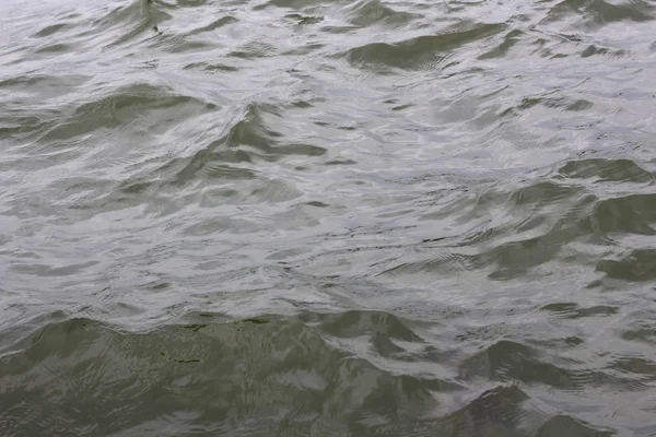 Surface Water Waves — Stock Photo, Image