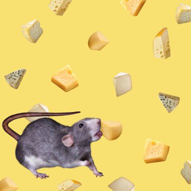 Çağdaş sanat Koleji, renkli bir arka plan üzerinde