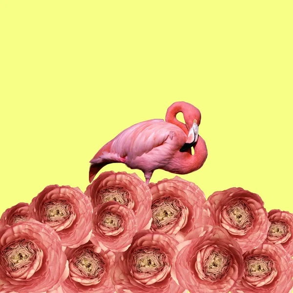 Hedendaagse Kunst Collage Flamingo Minnaar Bloemen Murch Gelukkig Womens Dag — Stockfoto