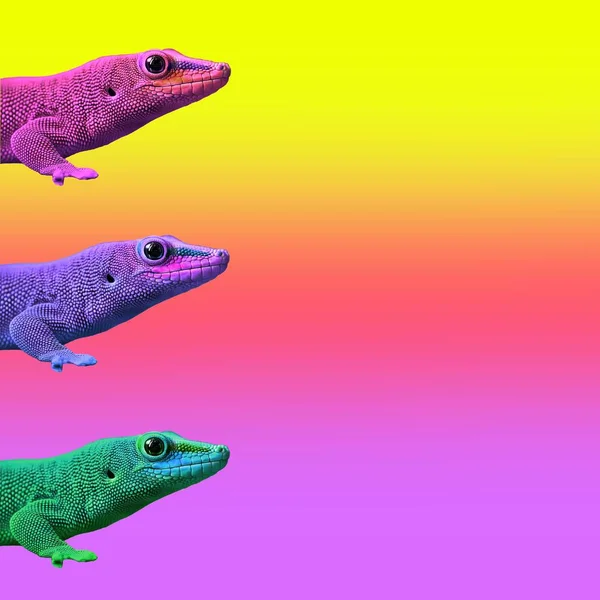 Hedendaagse Kunst College Multicolor Exotische Dieren Hagedissen Cold Blooded Een — Stockfoto