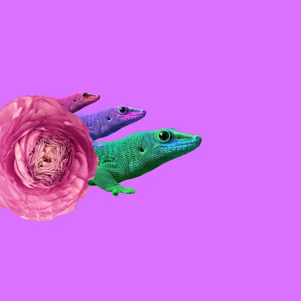 Hedendaagse Kunst College Kleurrijke Exotische Dieren Hagedissen Met Bloemen Een — Stockfoto