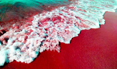 Köpüklü şeffaf deniz dalgası yumuşak kum üzerinde rulo. Temiz parlak köpüklü su ile deniz kıyısı