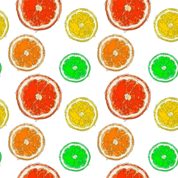 Vectorillustratie Met Citrus Sinaasappelen Citroenen Grapefruits Limes Mandarijnen Ringen — Stockvector