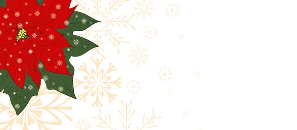 Ano Novo Fundo Natal Com Poinsettia Flocos Neve Fundo Branco — Vetor de Stock