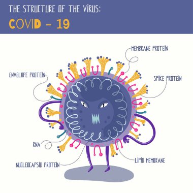 Coronavirus 'un yapısını anlamak kolay. Vektör çizgi film illüstrasyonu