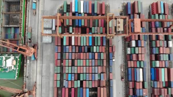 Drone Aerial Footage Shipping Containers Guangzhou Cargo Port China — Stock Video