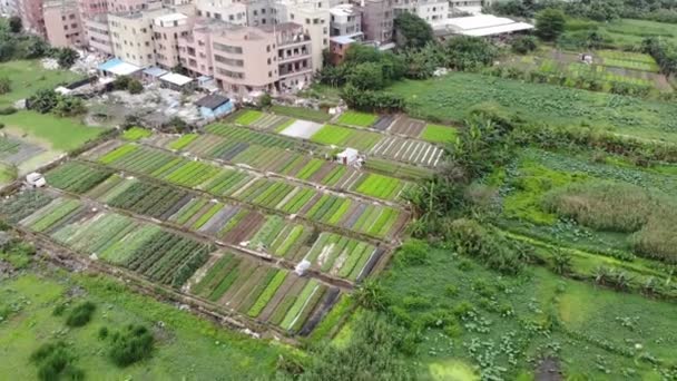 Guangzhou China Drohnen Luftaufnahmen Chinesische Stadtlandschaft — Stockvideo