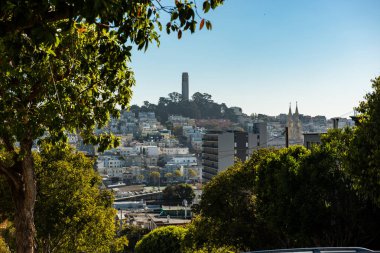 Coit Tower yüksek noktadan üzerinde Lombardt Street, San Francisco