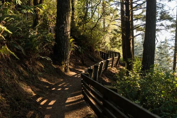 Path with wooden railing that gives access to an area of the southern coast of Oregon, USA