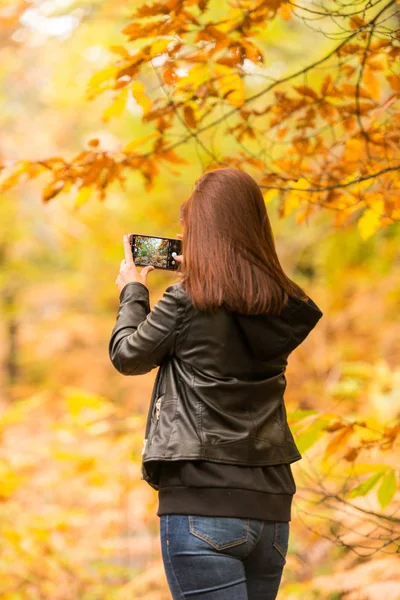 若い赤毛の女性が森で彼女の携帯電話で写真を撮る — ストック写真