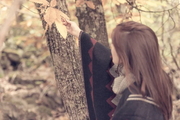 Une jeune femme touche les feuilles des arbres dans une forêt — Photo