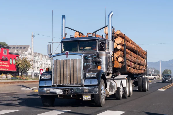 A large truck transports large trunks on the coast of Oregon, USA. — Stock Photo, Image