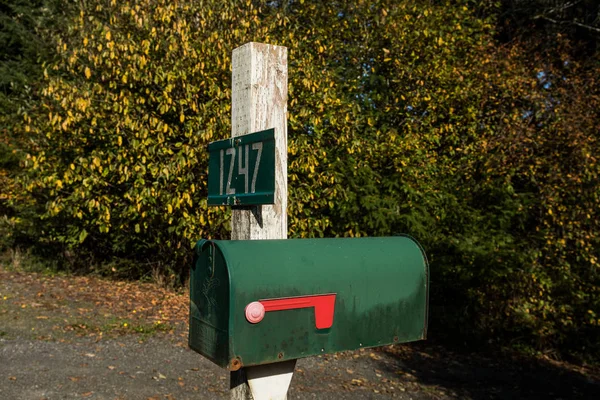 Detail of an old green mailbox at the access to a road in Oregon, USA. — Stock Photo, Image