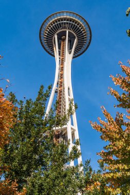 Uzay iğne Seattle uzay Iğne Parkı ağaç dalları arasında görülen