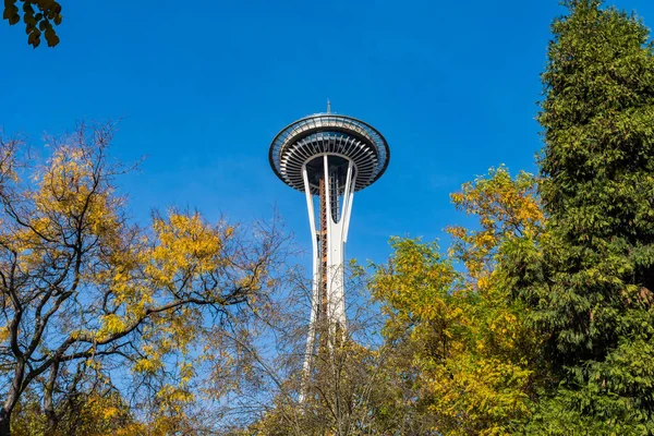 A agulha espacial vista entre os ramos das árvores do Space Needle Park em Seattle — Fotografia de Stock