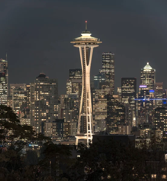 Nattvyn över Seattle skyline med Rymdnålen och andra ikoniska byggnader i bakgrunden. — Stockfoto