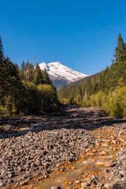 Kuzey Cascades arka planda karlı Mount Baker ile Swift Creek Riviera
