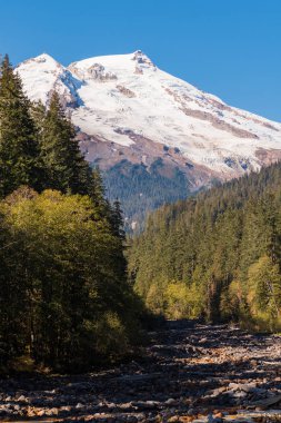 Kuzey Cascades arka planda karlı Mount Baker ile Swift Creek Riviera