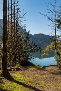 Kuzey Cascades Baker Gölü Waterfront Trail