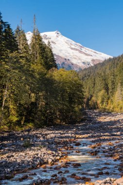 Kuzey Cascades arka planda karlı Mount Baker ile Swift Creek Riviera