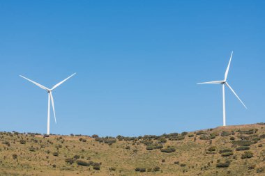 Plasencia'da ineklerle dolu bir çayırın yanındaki Sierra del Merengue'de berrak mavi bir gökyüzünde bir çift yel değirmeni.