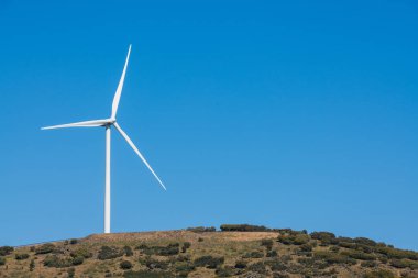 Sierra del Merengue 'de açık mavi bir gökyüzünde, Plasencia' da ineklerle dolu bir çayırın yanında yel değirmeni..