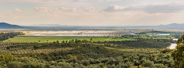 Views of Solaben, the Logrosan thermosolar plant currently managed by the company Atlantica Yield, surrounded pastures.