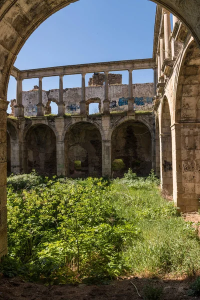A San Antonio de Padova (Garrovillas de Alconetar) elhagyott kolostora kolostorában növekvő vad növényzet — Stock Fotó