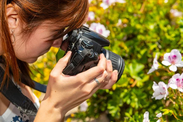 赤みを帯びた髪の若い女性は、カセレスで彼女のカメラで花のマクロ写真を撮ります — ストック写真
