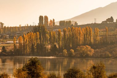 Entiat yakınlarındaki Columbia Nehri'nin gün doğumu manzarası, Washington, ABD.