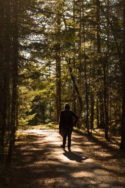 Kuzey Cascades'te George Overlook patikası boyunca yürüyen bir kadın.