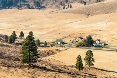 Sarımsı toprak ve Cle Elum bazı ağaçlar ve çiftlikler ile Gizli Vadisi'nde ova Manzara