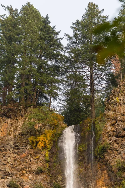 Den högsta delen av Multnomah vattenfall ligger på Multnomah Creek i Columbia River Gorge, Oregon — Stockfoto