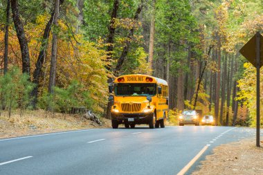 Yosemite Milli Parkı 'nda Northside' daki okul otobüsü.