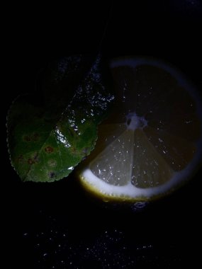 Limon yaprak yeşil siyah arka plan üzerine dilimlenmiş