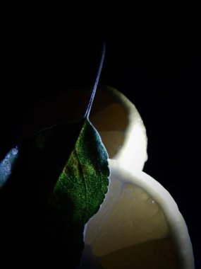 Limon yaprak yeşil siyah arka plan üzerine dilimlenmiş