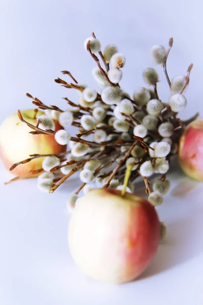 Gelb Rote Äpfel Und Weidenzweige Mit Blumen Zum Osterfest — Stockfoto