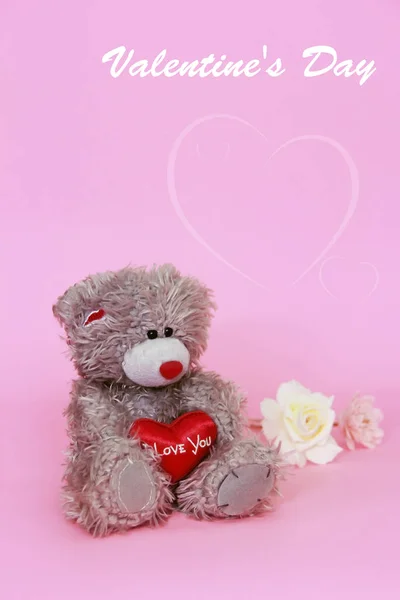 装饰灰色泰迪熊粉红色的背景为节日情人节 — 图库照片