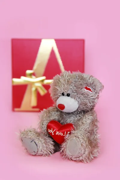 decorative gray teddy bear on pink background for the holiday Valentine's Day