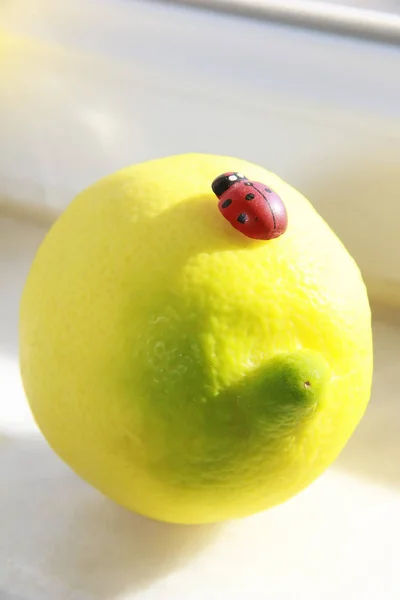 Žlutá Citron Červené Hmyzu Beruška Světlé Pozadí — Stock fotografie