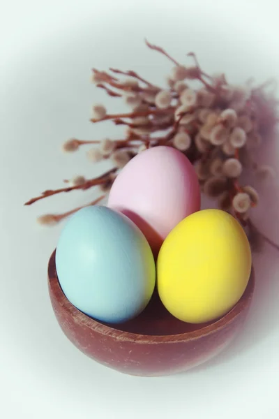 Розово Желтые Голубые Яйца Фоне Ивы Цветов Празднику Пасхи — стоковое фото