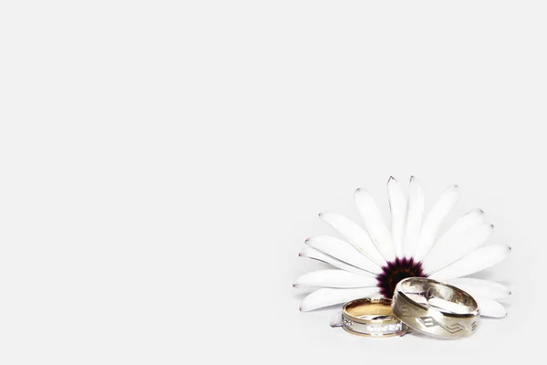 Złoto Srebrny Obrączka Biały Stokrotka Kwiat Białym Tle — Zdjęcie stockowe